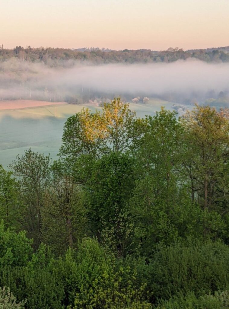 Romana-Klaer_Schreibzeit_Nebel