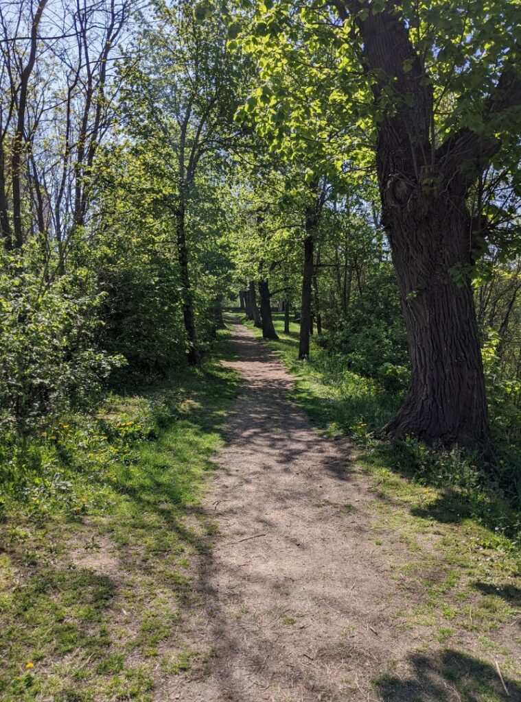Romana-Klaer_Schreibzeit_Weg